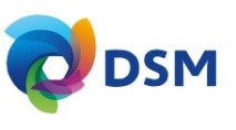 DSM DSM